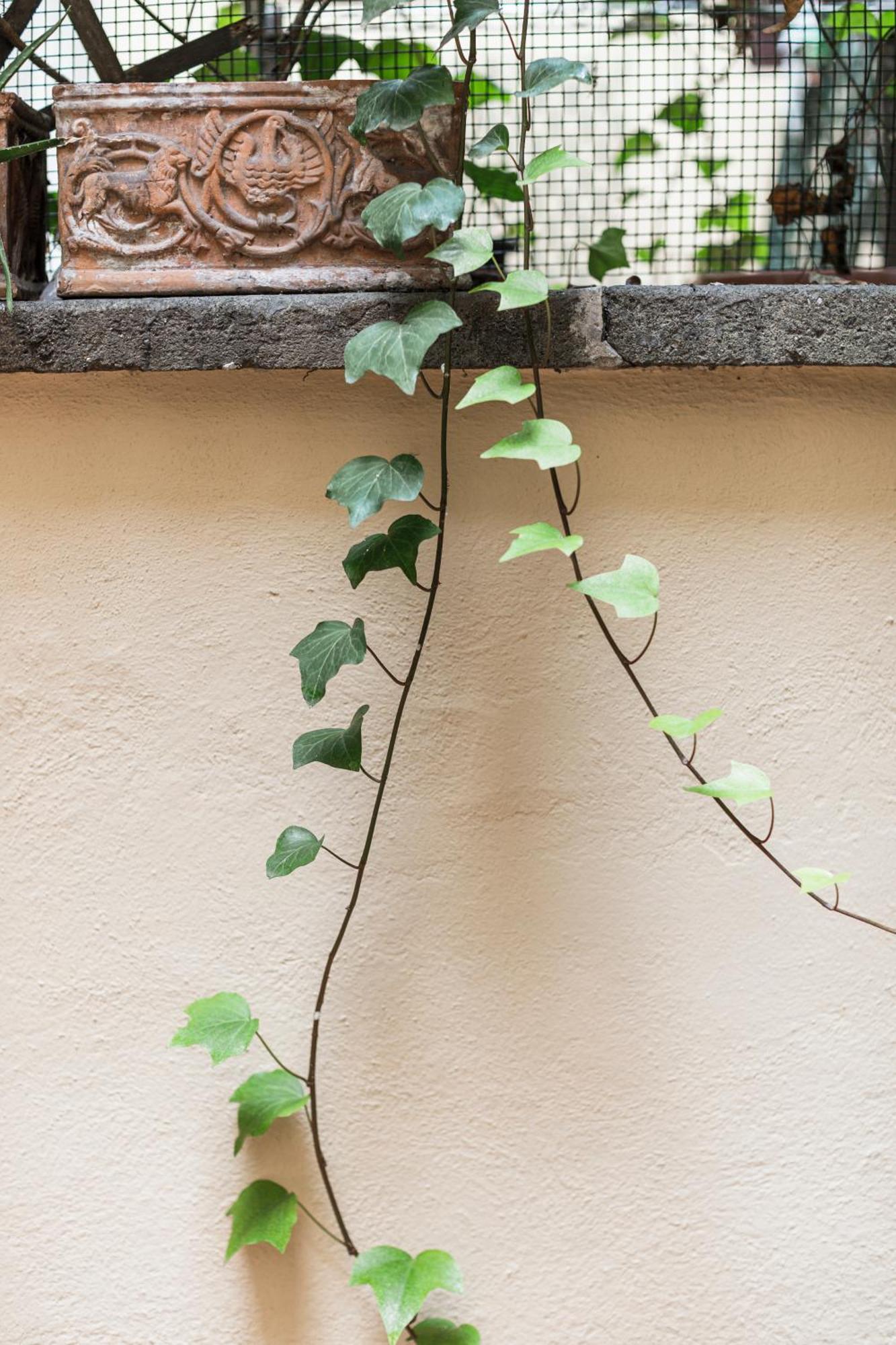 Apartamento San Pietro Garden House Roma Exterior foto